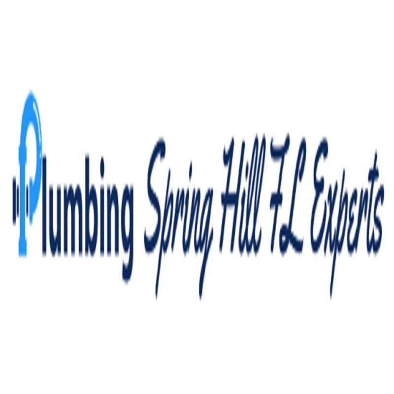 Company Logo For Plumbing Spring Hill FL Experts'