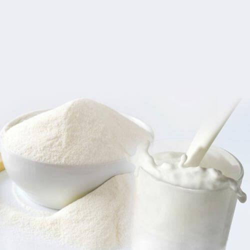 Camel Milk Powder Market'