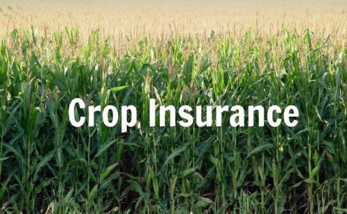 Crop Agricultural Insurance Market'