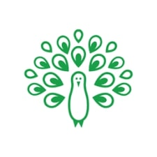 Virtue Analytics Inc.