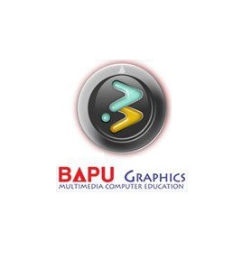 Company Logo For Bapu Graphics'