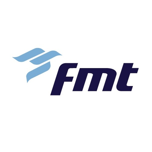 Company Logo For FMT Consultants Inc.'