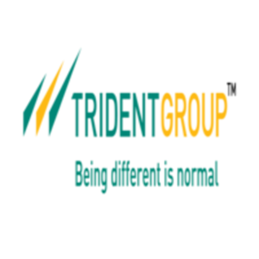 Company Logo For TRIDENT'