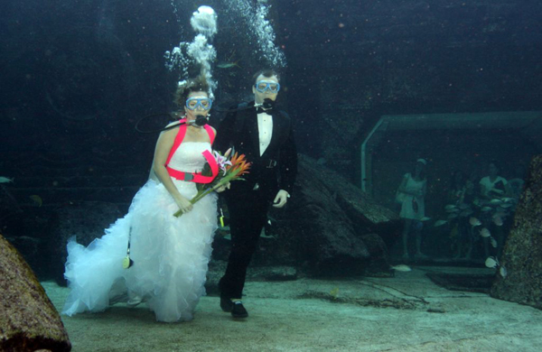 Universal Life Church Underwater Weddings