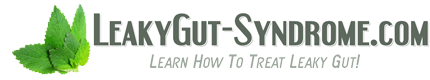 LeakyGut-Syndrome Logo'