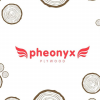 Company Logo For Pheonyx Plywood'