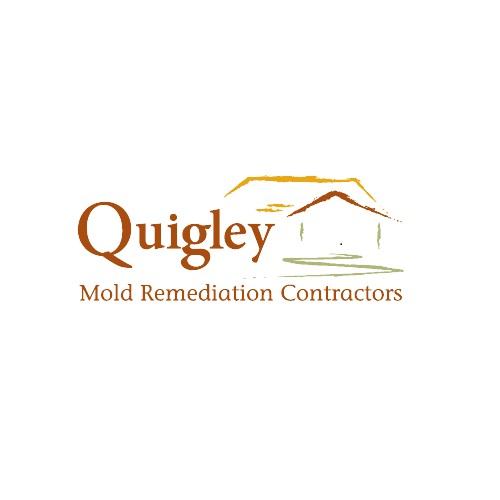 Company Logo For Quigley Attic Mold Remediation Contractors'