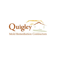 Quigley Attic Mold Remediation Contractors Logo