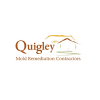 Quigley Attic Mold Remediation Contractors