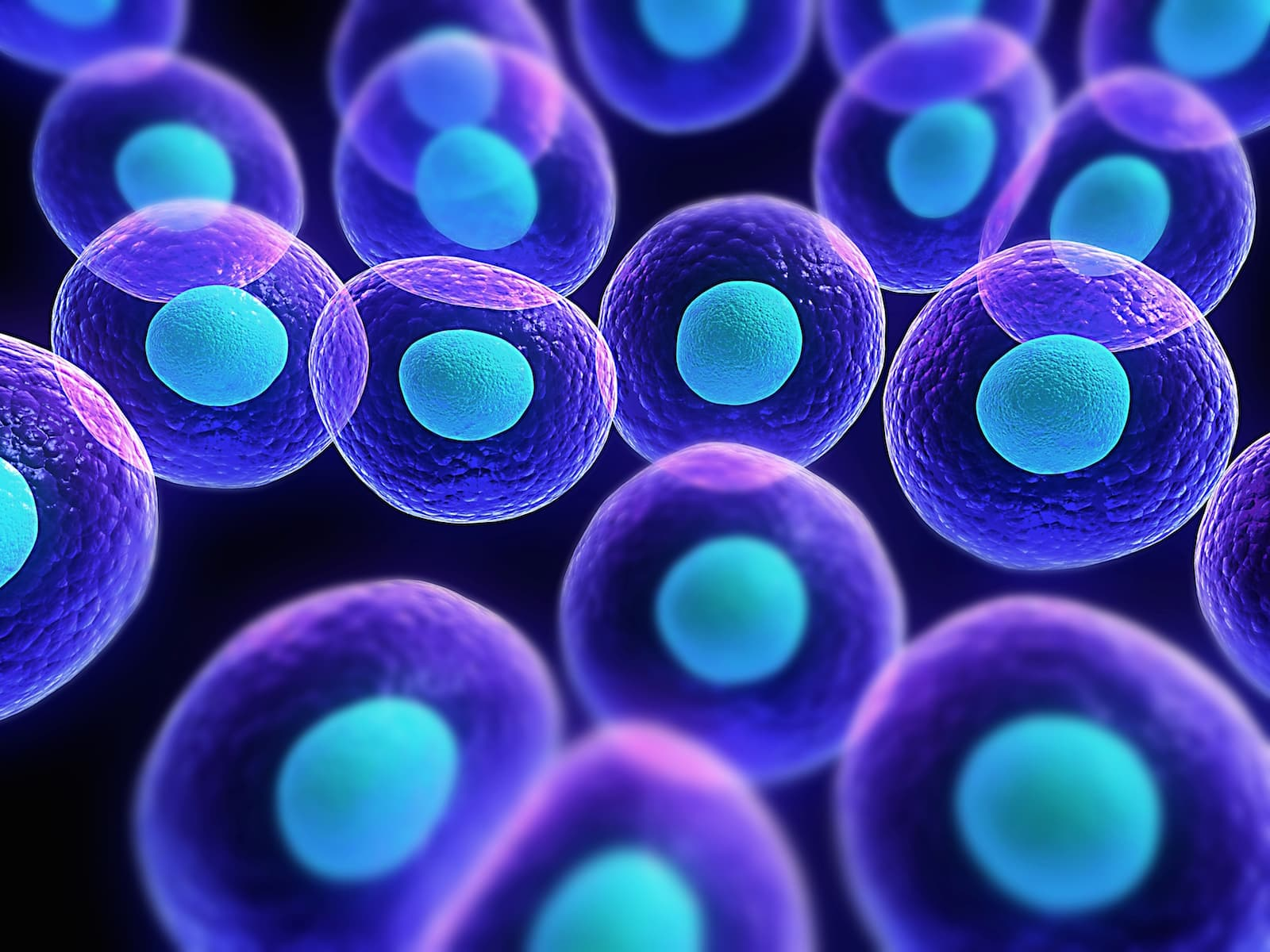 Synthetic Stem Cells Market