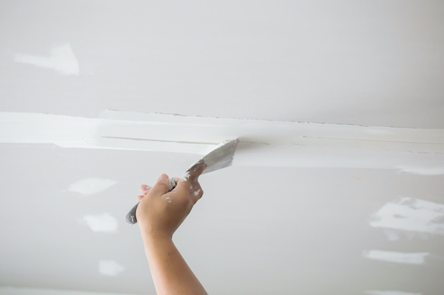 Plaster Repair'