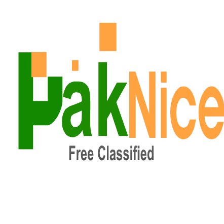 Company Logo For Paknice.com'