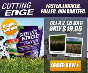 Cutting Edge Grass Seed As Seen on TV Canada'