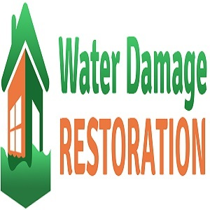 Water Damage NYC Logo