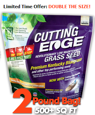 cutting edge grass seeds'