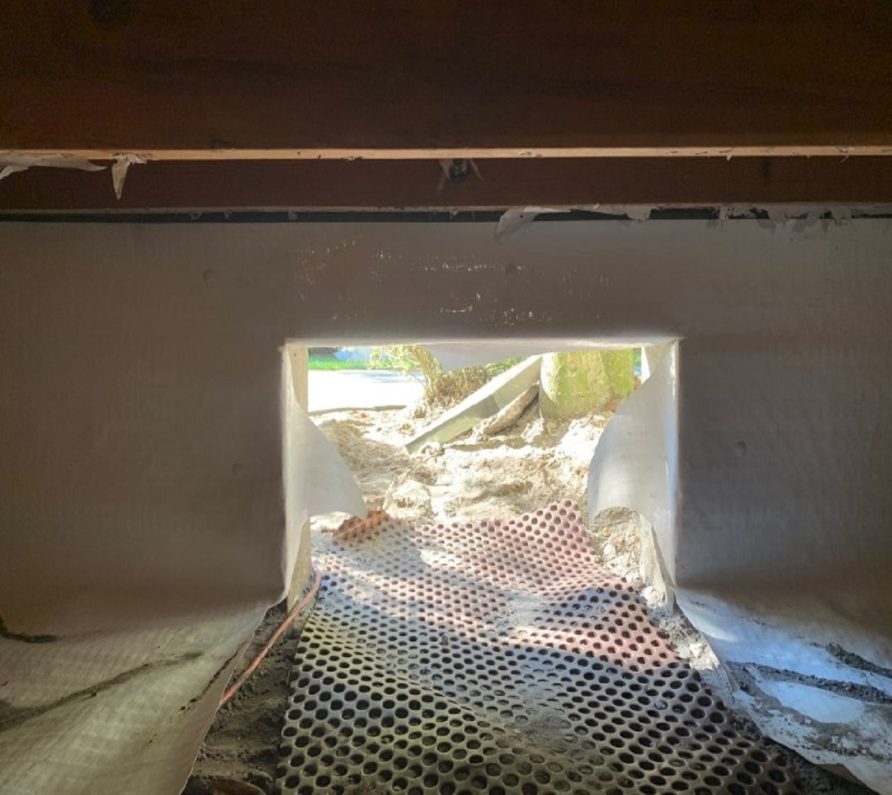 Lutz Crawl Space Repair'