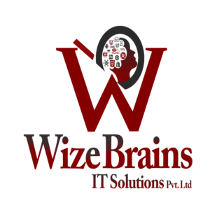 WizeBrains IT Solutions Pvt. Ltd Logo
