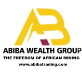 Company Logo For Abiba Wealth Group'