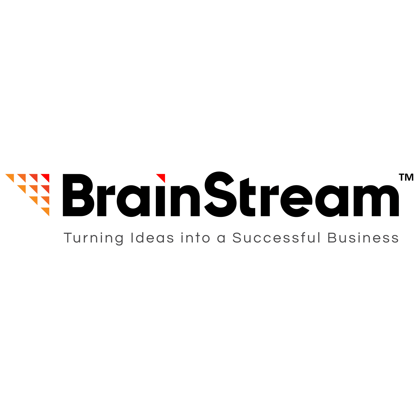 Company Logo For Brainstream Technolabs'