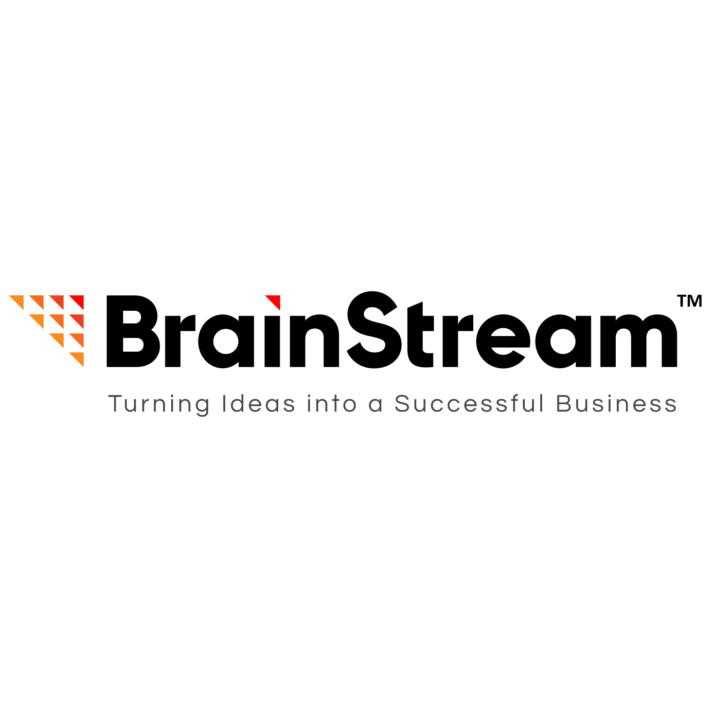 Brainstream Technolabs Logo