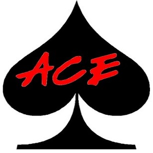 Company Logo For ACE Pool Repair'