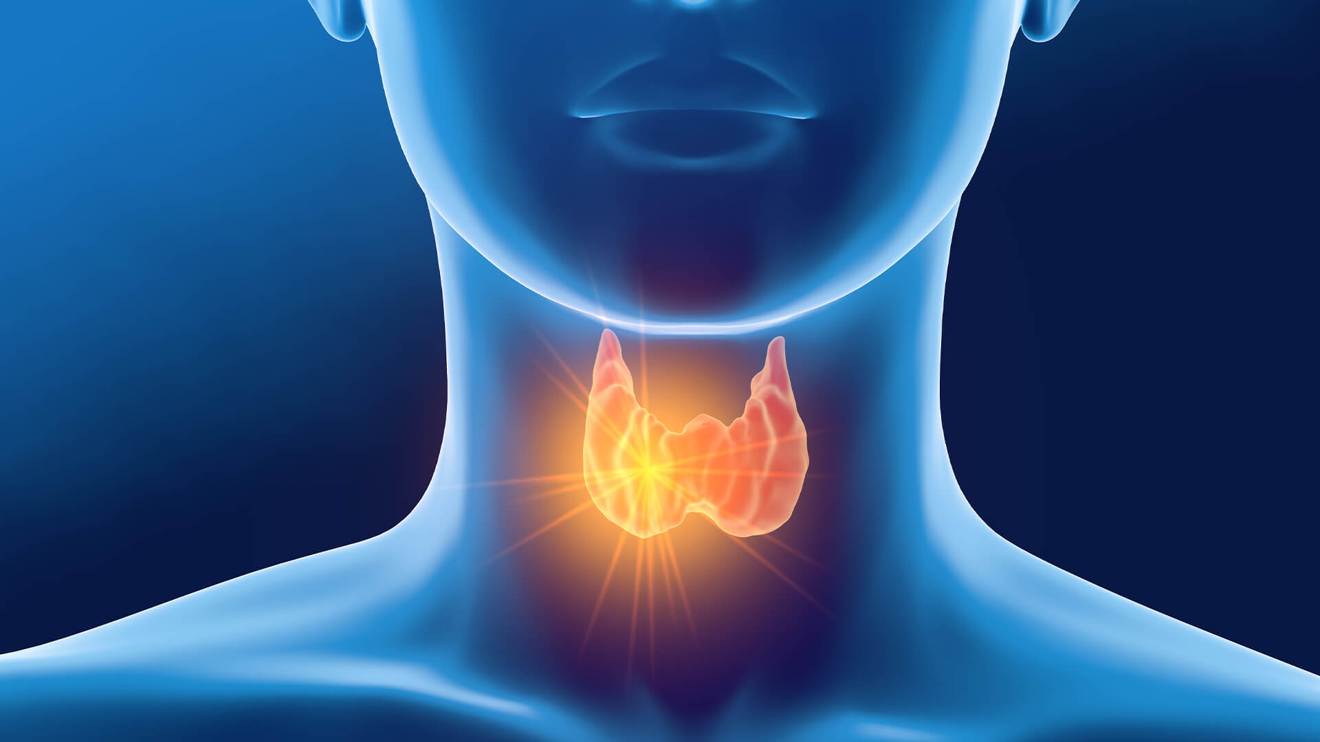 Thyroid Function Tests Market'