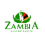 The Zambia Foundation Logo