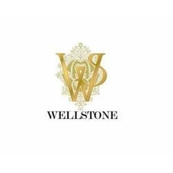 Company Logo For Wellstone Auto Spa'