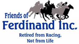 Friends of Ferdinand Inc.'