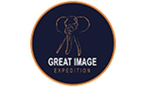 Company Logo For Great Image Expedition Ltd'