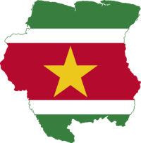 Company Logo For Suriname Visa Online'