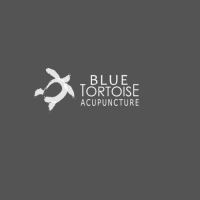 Blue Tortoise Acupuncture Logo