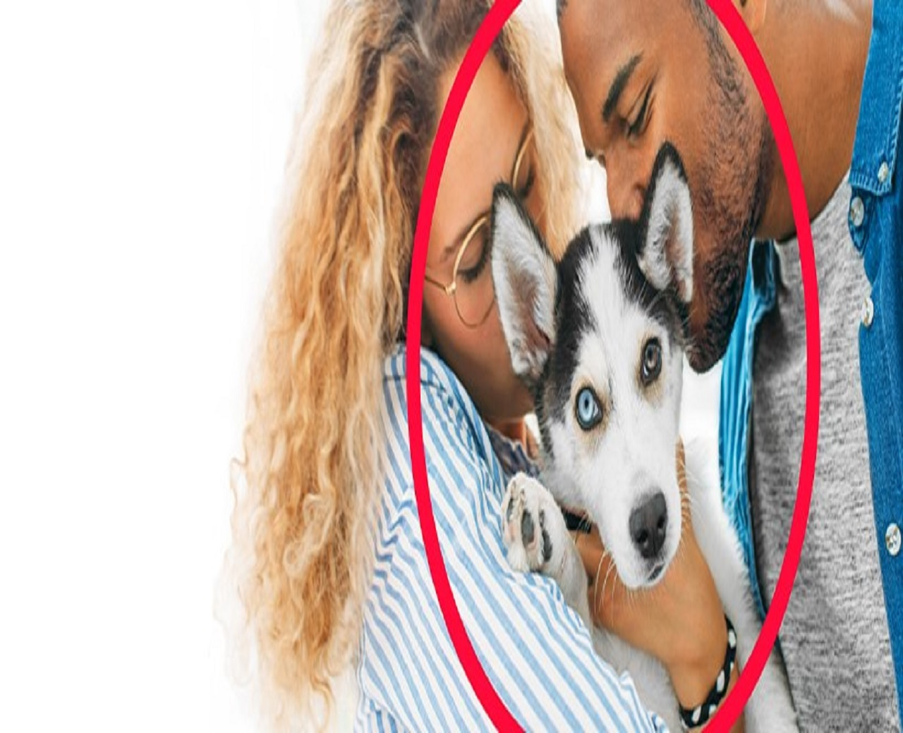 Company Logo For Pet Smart'