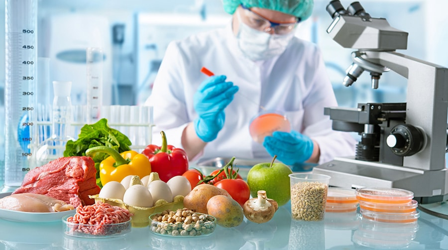 Food Safety Testing Market