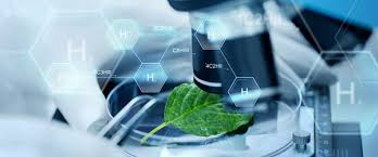 Medical Software Market