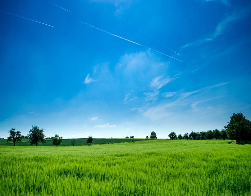 How to Sell my Land'