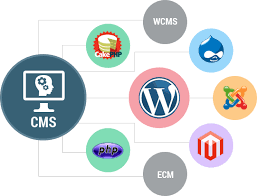 Web Content Management System