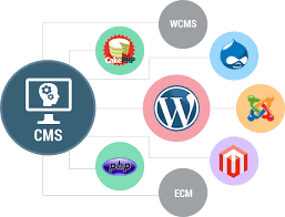 Web Content Management System'