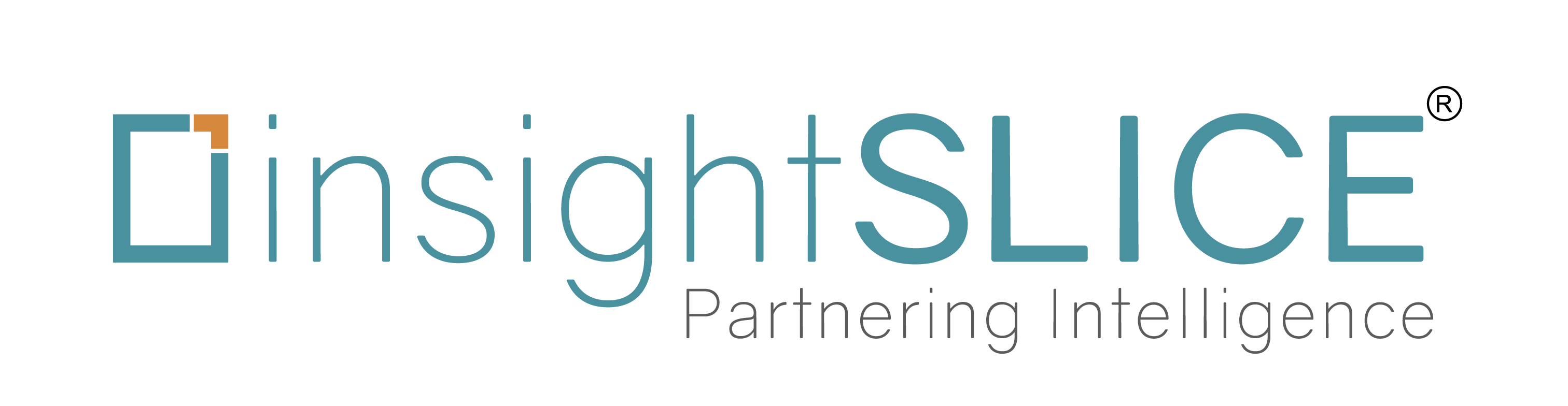 Company Logo For insightSLICE'