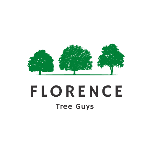 Company Logo For Florence Tree Guys'