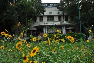 Company Logo For Dhaka College'