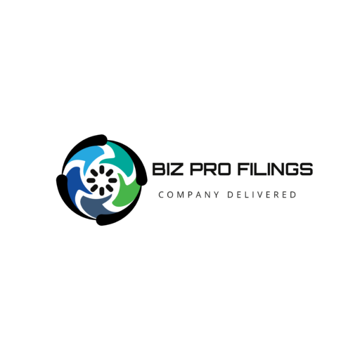 Company Logo For Biz Pro Filings'