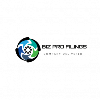 Biz Pro Filings Logo