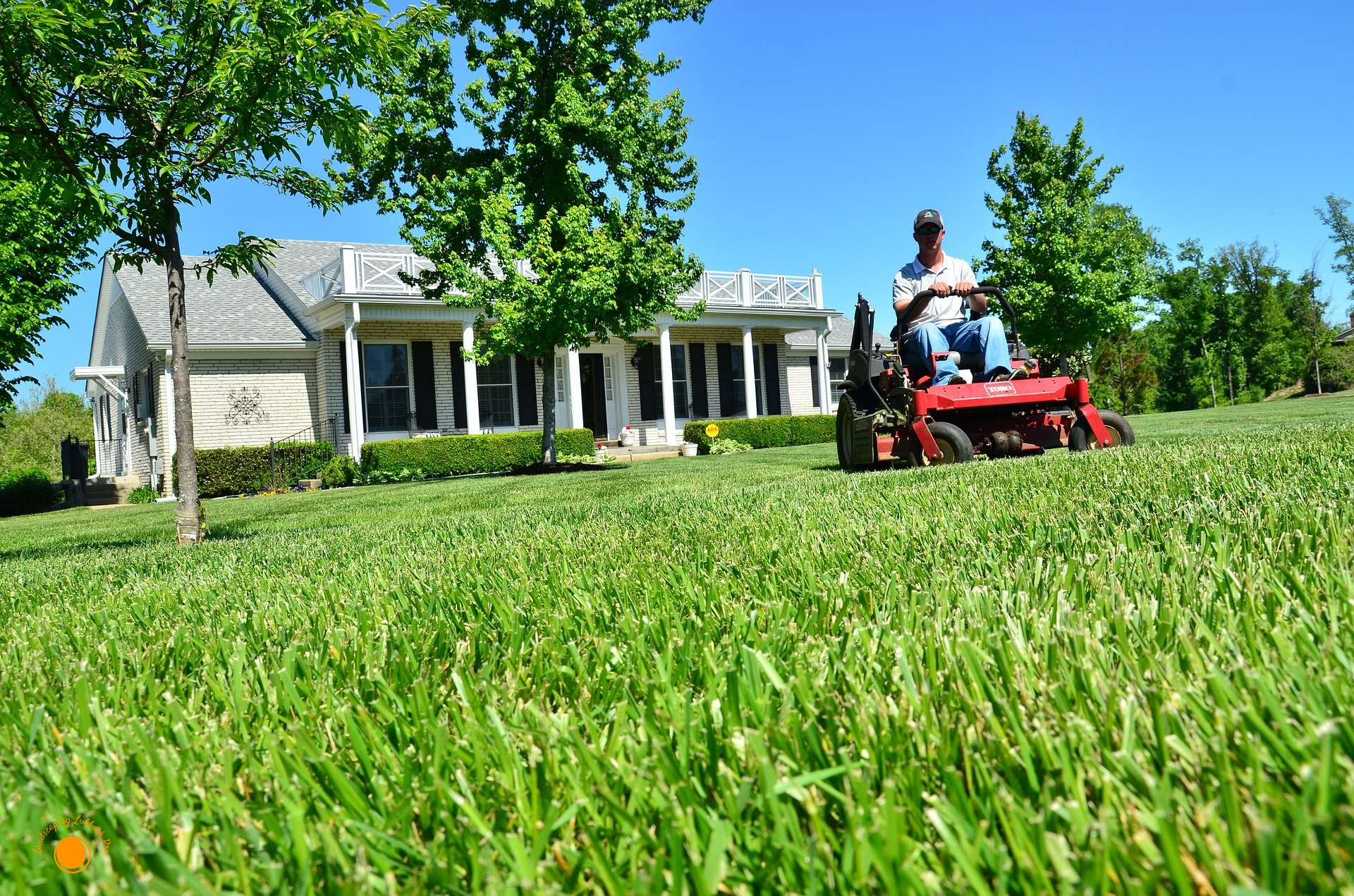 Lawn Care Lubbock'