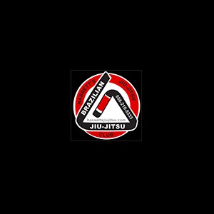 Company Logo For Hassett's Jiu Jitsu'