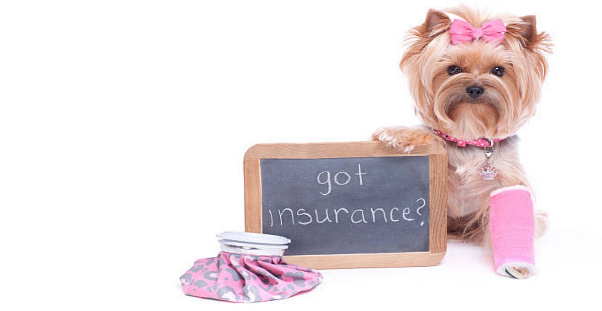 Pet Insurance Market