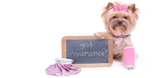 Pet Insurance Market'