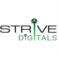 Strive Digital Pvt Ltd Logo