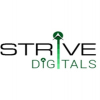 Company Logo For Strive Digital Pvt Ltd'