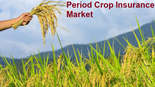Period Crop Insurance Market'